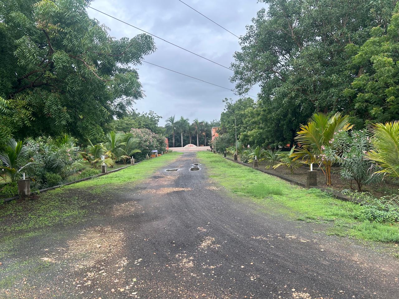 Long pathway leading into the ashram