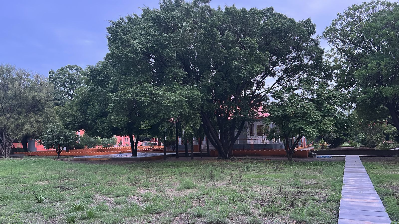 Ashram grounds with large tree and pathway